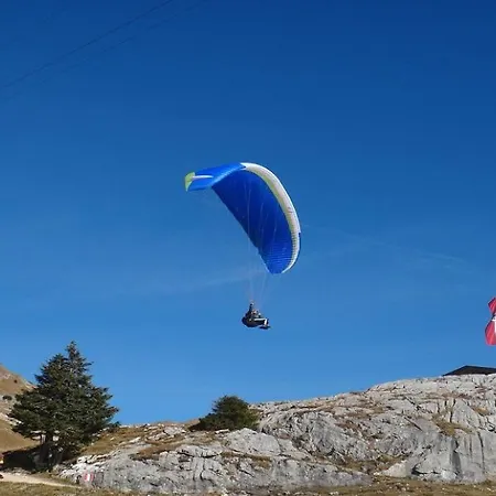 Pengelstein By Managers *