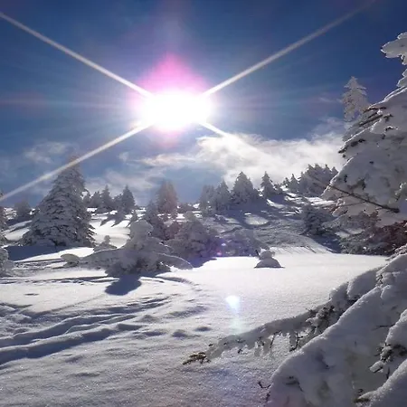 Holiday home Pengelstein By Managers