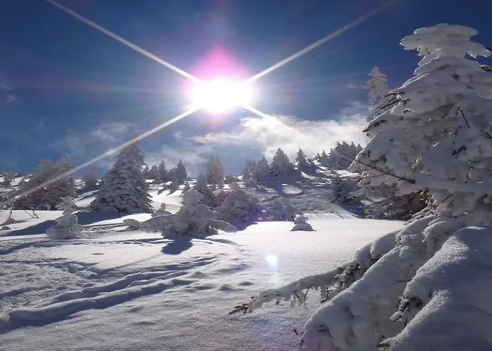 Feriehus Pengelstein By Managers