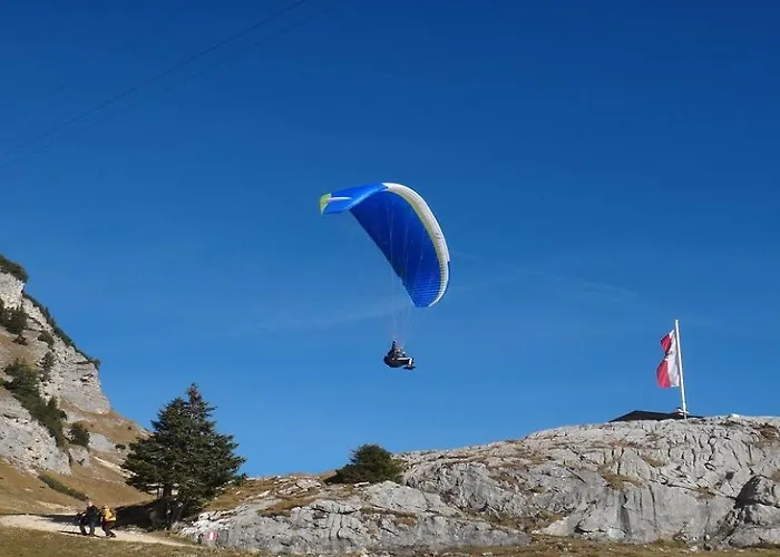 Pengelstein By Managers *